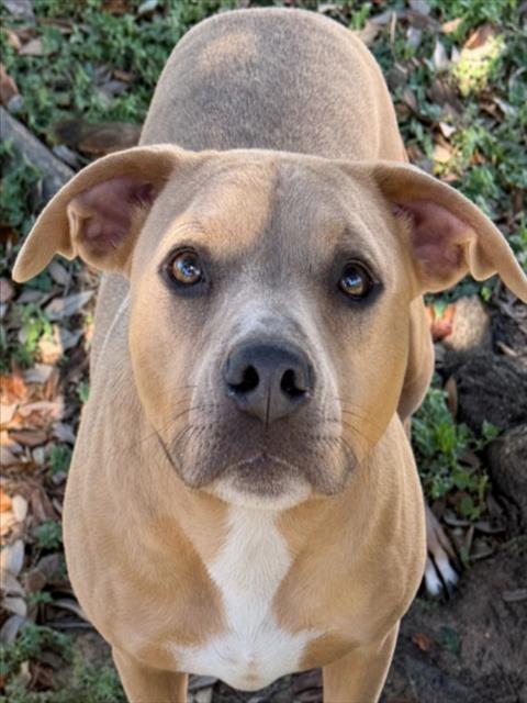 NALA