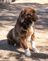 JACK - Photo 6
