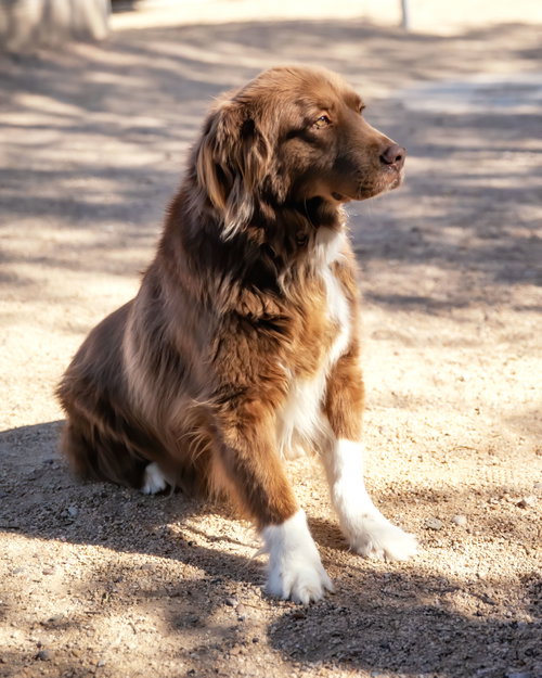 JACK photo 8