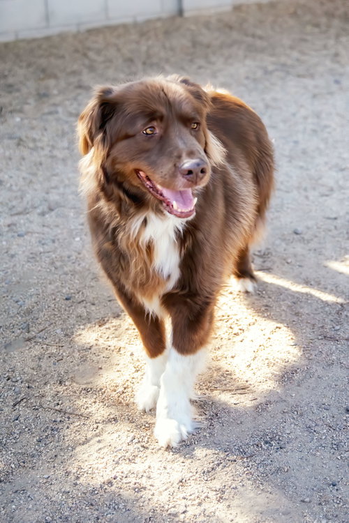 JACK, photo 11