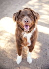 JACK - Photo 4