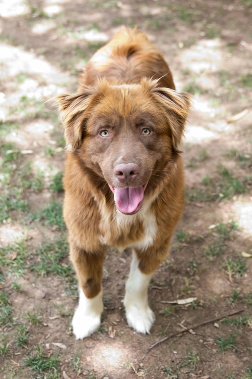 JACK, photo 20