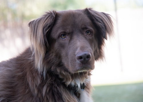 JACK, photo 14