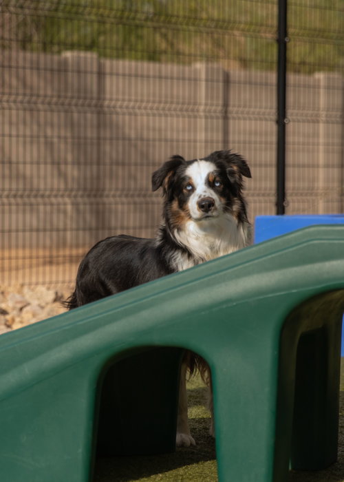 DAKOTA photo 6