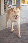 ZIGGY - Photo 1