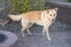 ZIGGY - Photo 5