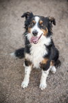 TROY - Photo 7
