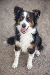 TROY - Photo 5