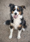 TROY - Photo 8