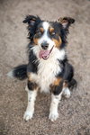TROY - Photo 9