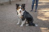 TROY - Photo 11