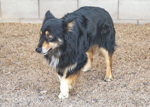 Brucie photo 10