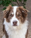 BANDITT - Photo 2