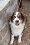 BANDITT - Photo 10
