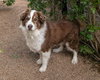 BANDITT - Photo 12