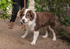 BANDITT - Photo 15