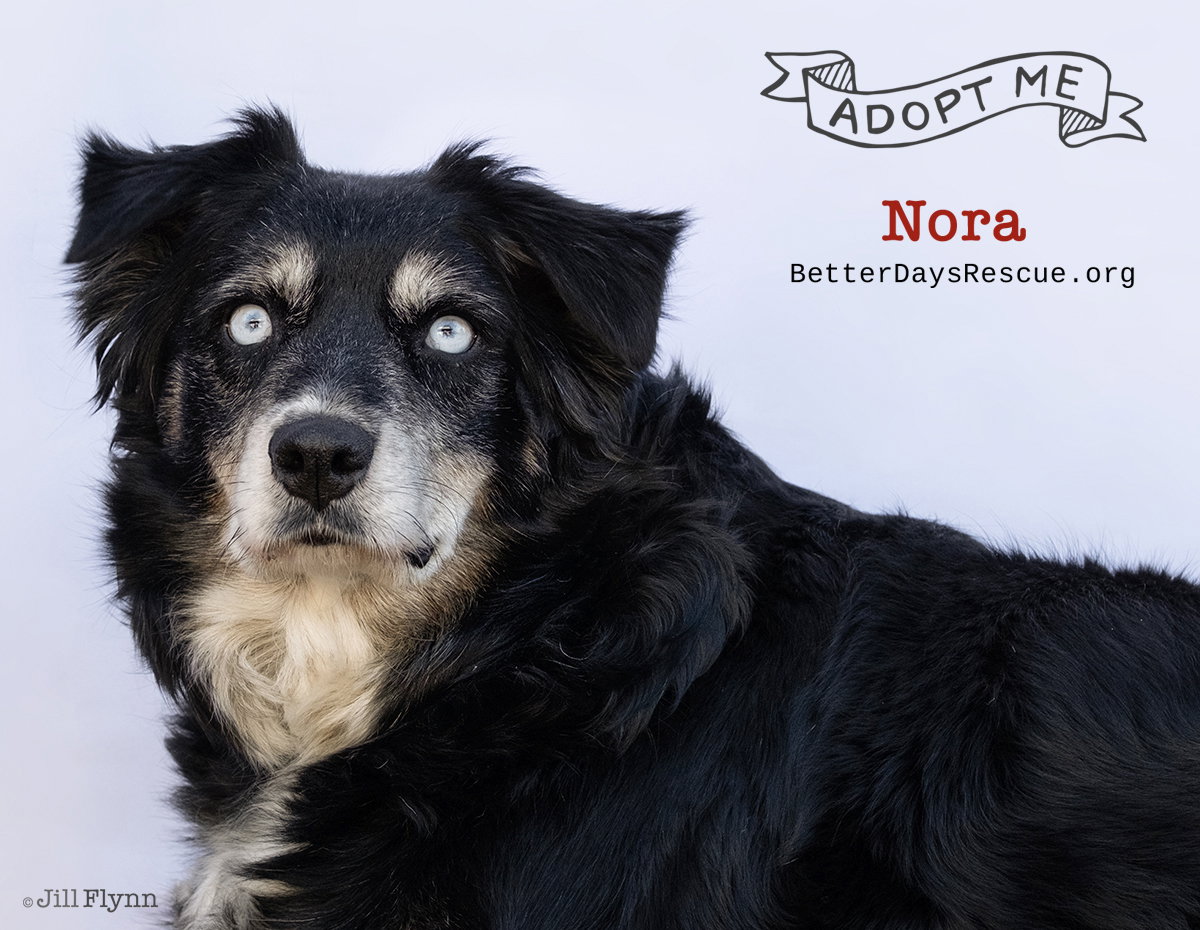 NORA Image