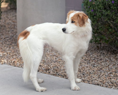Peaches photo 3