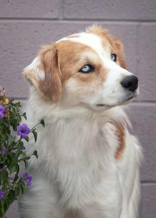 Peaches photo 5