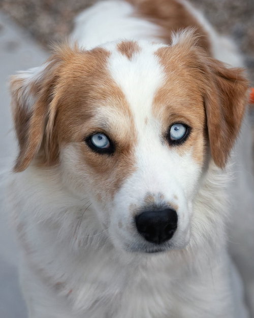Peaches photo 7