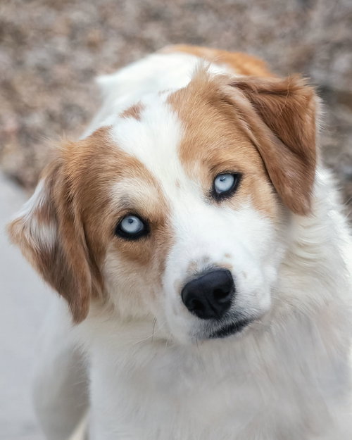 Peaches photo 8
