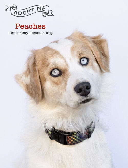 Peaches photo 6