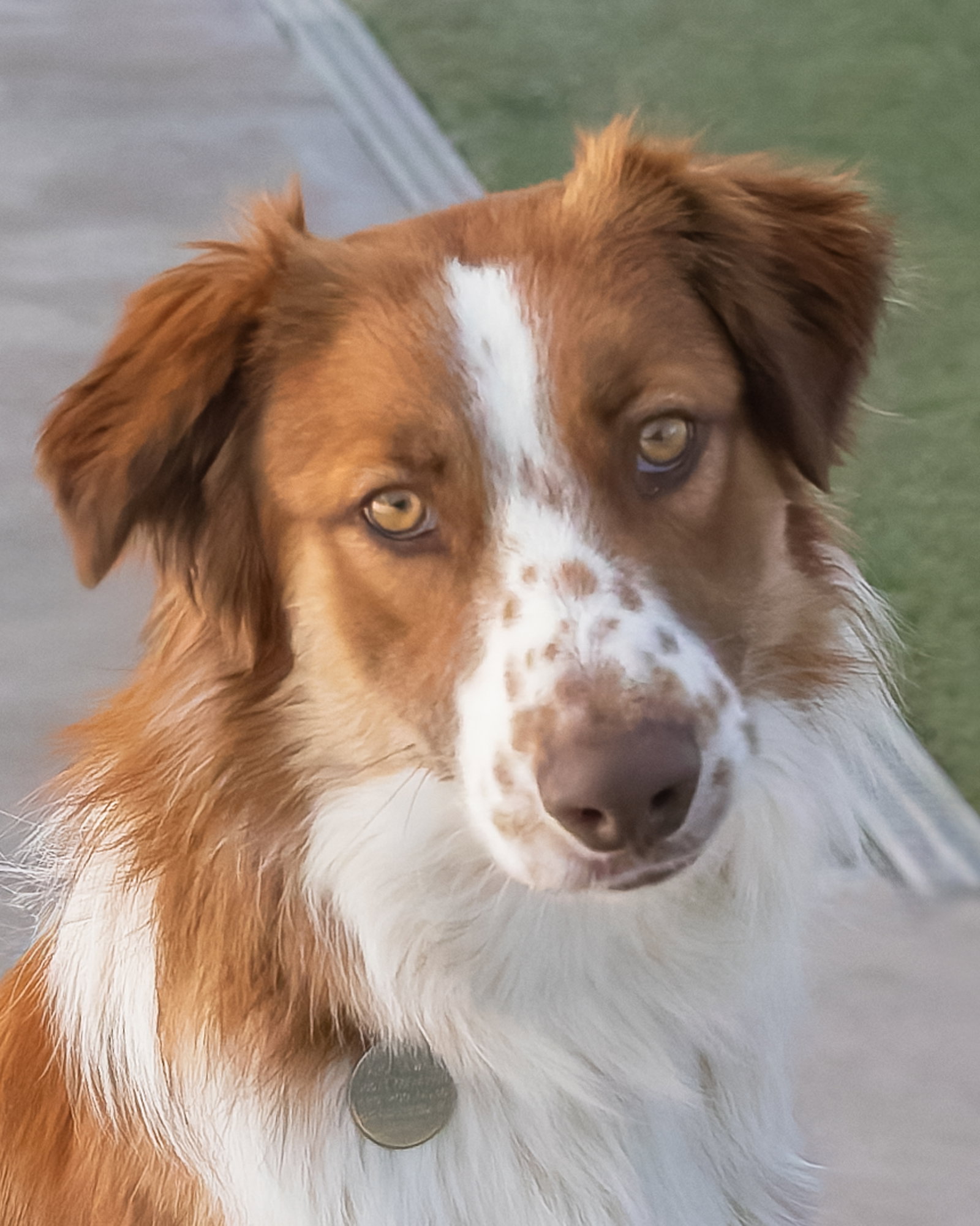 Rudy