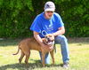 adoptable Dog in  named DA 12 Midney