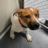 PR 55 Hooch - Photo 1