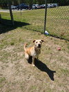 DA 30 Becky - Photo 1