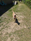 DA 30 Becky - Photo 2