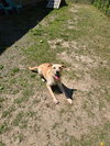 DA 30 Becky - Photo 3