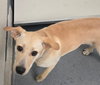 DA 30 Becky - Photo 4