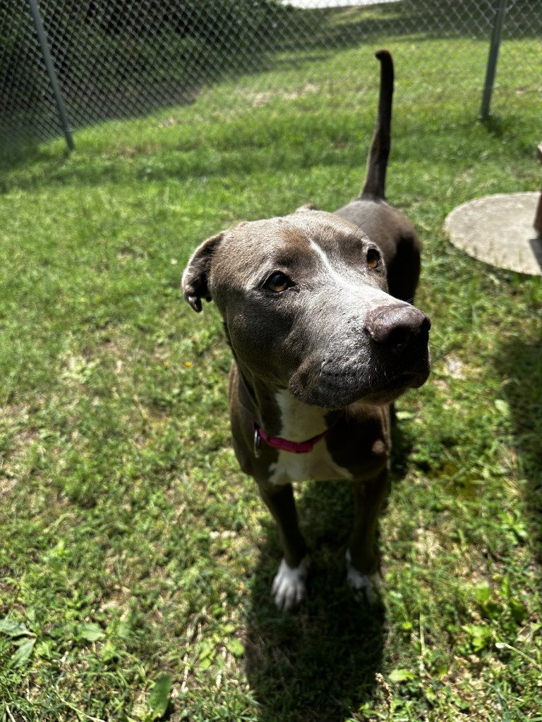 DA 9 Lucy Mae