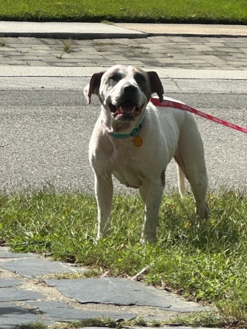 Photo 2 of Girlie HHS RRP