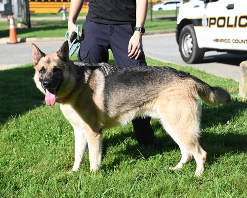 Photo 2 of DA 48 Sarge