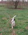Jenky - Photo 2