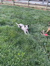 Jenky - Photo 3
