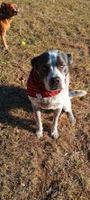Maggie - Photo 1
