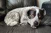 Maggie - Photo 2