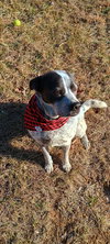 Maggie - Photo 3