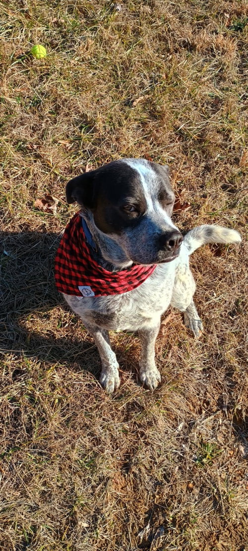 Maggie photo 3