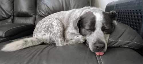 Maggie photo 4