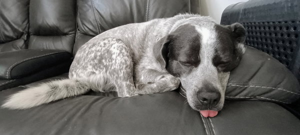 Maggie