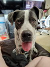 Maggie - Photo 3