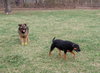 Letti - Photo 3