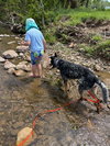 Rosie - Photo 3