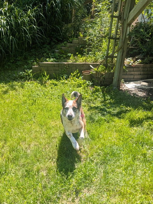Chandler photo 2