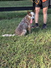 Oakley - Photo 1