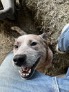 Oakley - Photo 3